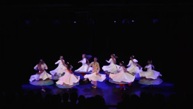 The ABC company dancing semi-classical